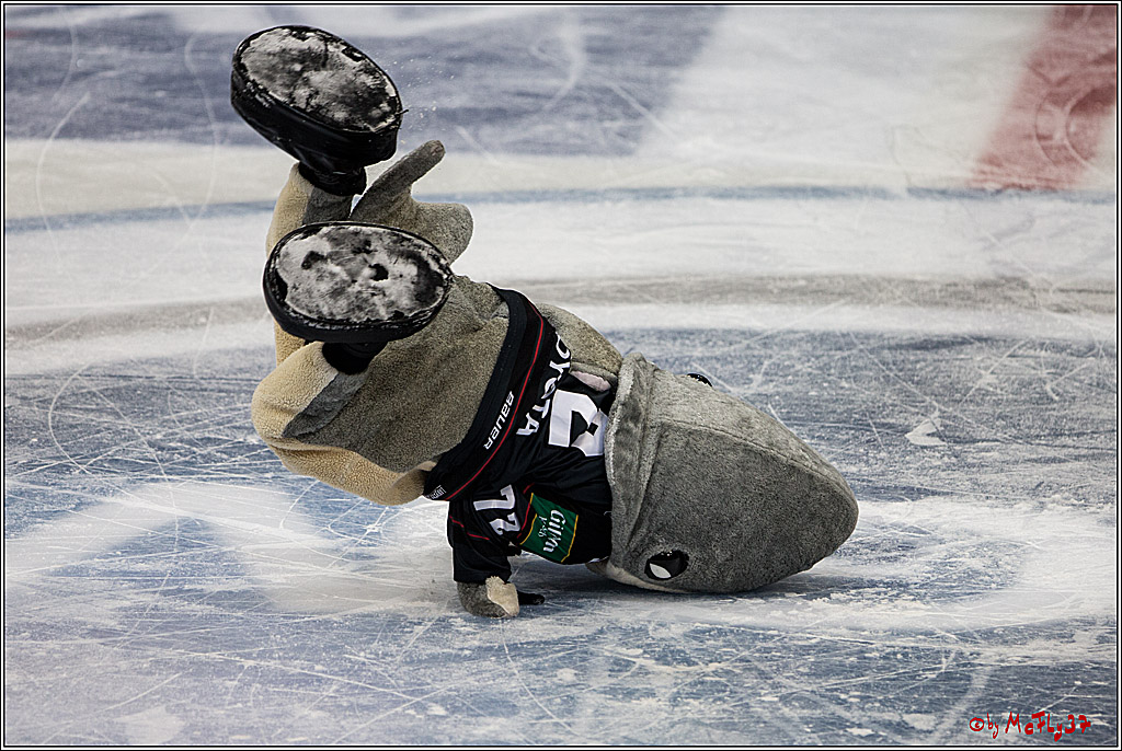 Koelner Haie - Iserlohn Roosters, 09.10.2016